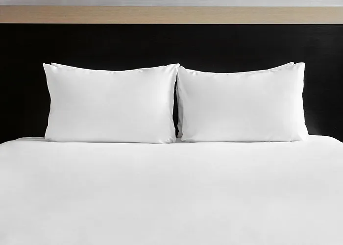 Moxy Humboldthain Park